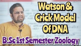 Watson amp Crick Model Of DNA bedkdian mjpru bsc1stsemester zoology [upl. by Mannes]