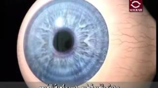 تركيب العين الجزء الأول  مستشفيات مغربي [upl. by Paryavi]