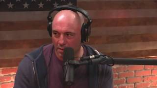 Joe Rogan on ElsaGate [upl. by Wedurn]