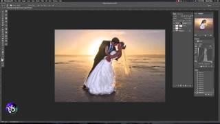 How to use the Wedding Brush Pack for ParticleShop and Painter [upl. by Gib447]