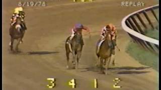 Affirmed vs Alydar  1978 Travers Stakes Final Meeting [upl. by Rolyat]