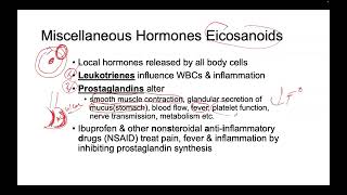 Arachidonic Acid Inflammation [upl. by Erialc954]