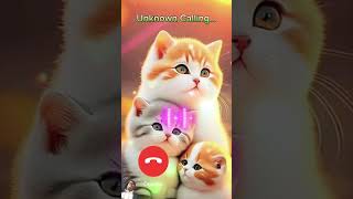 catcalling ringtone cutetalking ringtones [upl. by Nirrol]