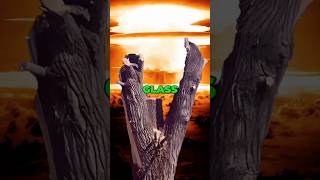 How Did a Tree Nearly END the World usa military shorts [upl. by Cahan]