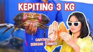 SEAFOODNYA UKURAN MONSTER SEMUA DISINI HARUS KESINI KALAU KE BALI [upl. by Ettevy]