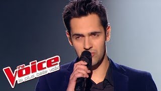 Céline Dion – Vole  Yoann Fréget  The Voice France 2013  Prime 3 [upl. by Enilada]