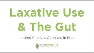 Laxative Use amp The Gut Lasting Changes Observed in Mice [upl. by Ennoid]