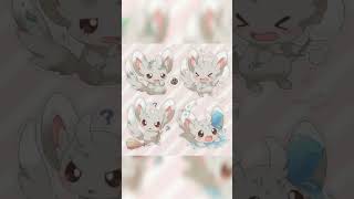 Pokémon Minccino Edit [upl. by Aerdnek]