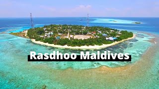 All you need to know about Rasdhoo Maldives  Local island Maldives  Maldives on a budget [upl. by Adamo809]