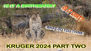 KRUGER 2024 PART 2 [upl. by Stillman]