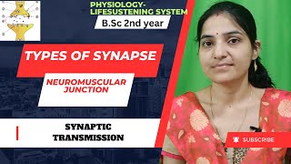 Types Of Synapse Bsc 2nd yearSynaptic TransmissionNeuromuscular Junctionsynapses4thsemestre [upl. by Ecad138]