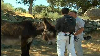 Espacios Naturales Arribes del Duero Parte 22 [upl. by Atteynek]