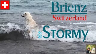 Stormy weather at Lake Brienz  Jungfrauregion  Switzerland 4K [upl. by Wilonah204]