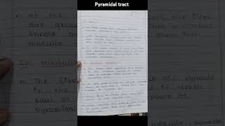 pyramidal tract notes  anatomy  physiology  shorts  medical [upl. by Enelrad]