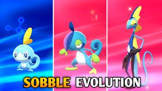 How To Evolve Sobble Into Drizzle And Inteleon In Pokemon Sword amp Shield  Galar Pokedex [upl. by Haugen178]