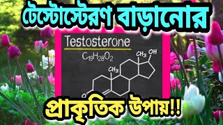 টে‌স্টো‌স্টেরণ বাড়া‌নোর প্রাকৃ‌তিক উপায় How to increase testosterone naturally in Bangla [upl. by Justine]