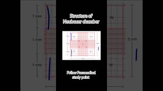 NEUBAUER CHAMBER [upl. by Cul]