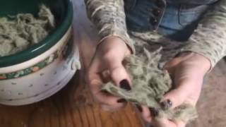 How to make alcoholfree tinctures with Usnea [upl. by Terces533]