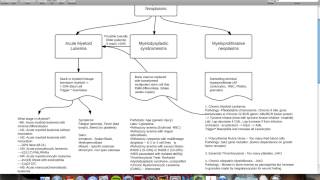 Myeloid and Lymphoid neoplasms web Computer [upl. by Sharity]