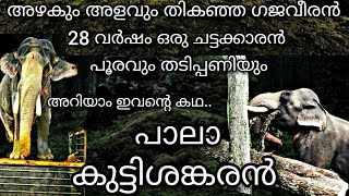 പാലാ കുട്ടിശങ്കരൻ Story  Pala Kuttisankaran Elephant Story  Elephant attack [upl. by Irrep670]