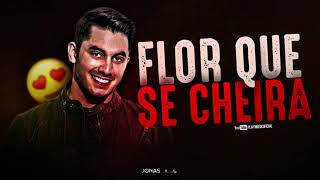 Flor que se cheira Jonas esticado [upl. by Arehs]