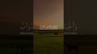 Surah Hajj Ayat 18 beautiful Recitation by Sheikh Yaser Dossary [upl. by Lledrac822]