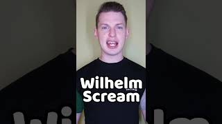 The Wilhelm Scream [upl. by Dralliw]