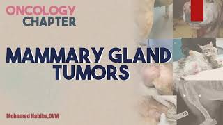 Mammary gland tumors in dogs amp cats lecture 4 [upl. by Ardnauqal]