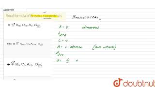 Floral formula of Brassica campestris is  CLASS 11  MORPHOLOGY OF FLOWERING PLANTS  BIOLOGY [upl. by Ardnasirhc]