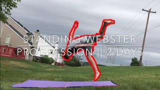 Webster  Loser Flip Progression  2 Days [upl. by Hajile]