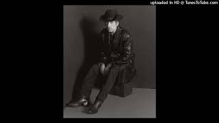 Bob Dylan live  Workingmans Blues 2  Albany 2007 [upl. by Camus23]