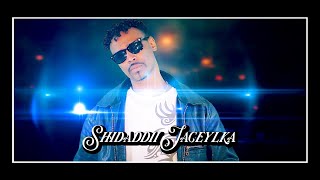 HEESTII SHIDADII JACEYLKA 2017 ABDIKADIR SHIKSHIK  OFFICIAL MUSIC VIDEO [upl. by Schuyler50]