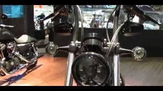 2014 HarleyDavidson Sportster Forty Eight ABS Walkaround gulebure [upl. by Zerline]