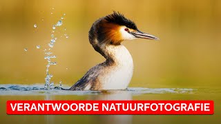 NATUURFOTOGRAFIE zo ga je verantwoord met de natuur om  Natuurfotografie  Zoomnl [upl. by Lainey]