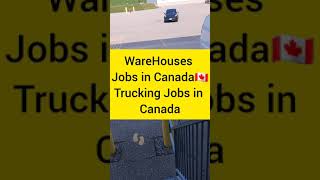 Trucking in Canada🚛🚛🚛 l Warehouse Jobs in Canada l Working as a Truck Driver in Canada [upl. by Ecnatsnoc918]