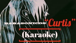 Babasonicos  Curtis Karaoke [upl. by Hilde]