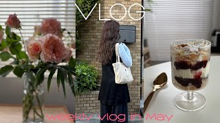 GW最後に蔵前散歩🚶浅草の美味しいハンバーグ屋さん weekly vlog dotcom coffee☕️ [upl. by Fesoy]