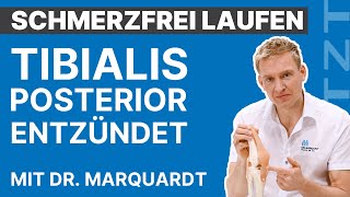 Sehnenscheidenentzündung am Tibialis Posterior  Schmerzfrei laufen mit Dr Marquardt  ARTZT [upl. by Malory]