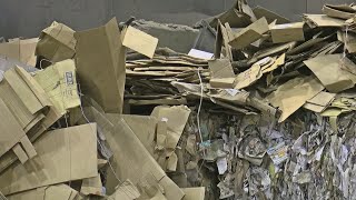 What Happens To All The Cardboard Packages We Recycle [upl. by Romonda]