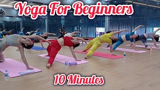 10 Minutes Regular Yoga For Beginners morningyoga yogaforbeginners [upl. by Walke]