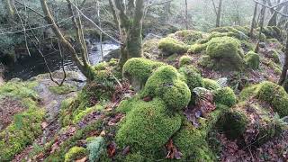 Mysterious Galloway Forest Park [upl. by Eidde]