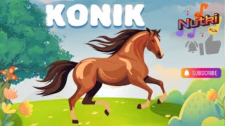 Piosenki dla dzieci KONIK 🐴 [upl. by Punke]