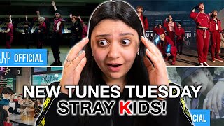 DISCOVERING Stray Kids  Gods Menu Thunderous MANIAC Easy MVs  REACTION [upl. by Boote]