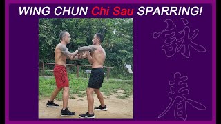 Wing Chun sparring Chisau done at speed [upl. by Magee763]