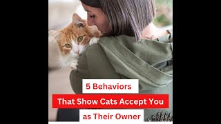 5 Behaviors That Show Cats Accept You as Their Owner Animal trivia Meow Channel [upl. by Anuahs681]