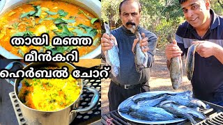 ഹെർബൽ ചോറും തായി മീൻ കറിയും  Thai Yellow fish curry with Trout and Herbal rice [upl. by Kenaz451]