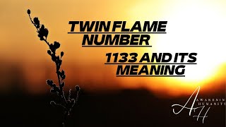 TWIN FLAME NUMBER 1133 AND ITS MEANING [upl. by Llehsar]