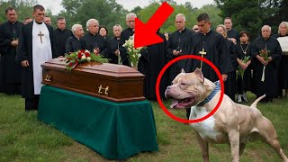 DOG BARKS AT THE COFFIN DURING FUNERAL WHEN A MAN ASKS WHY THE PRIEST GETS NERVOUS AND… [upl. by Eustashe]