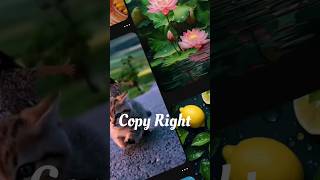 Copyright free video kahan se download karen how to download copyright free video from youtube [upl. by Bussy564]