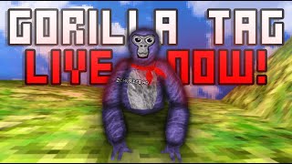 🔴Gorilla Tag with you Live code🔴 [upl. by Novihs]